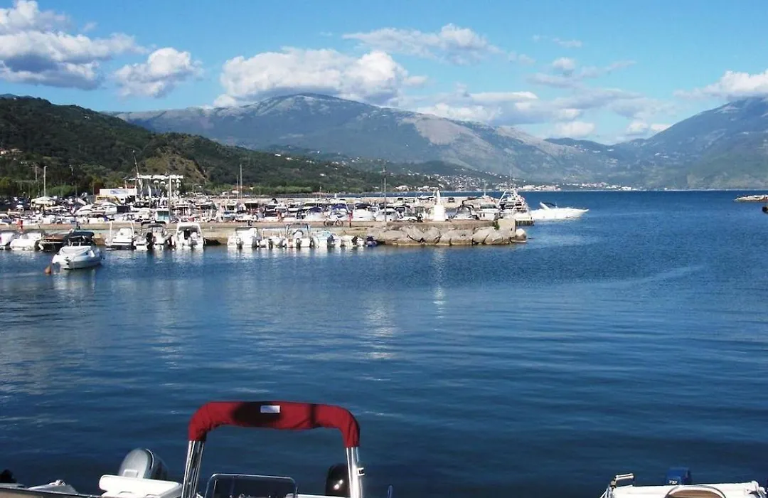 Domus Olea-1